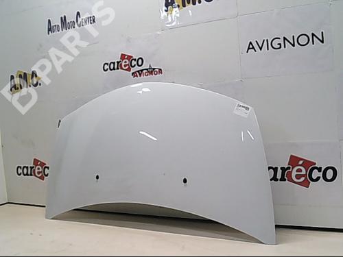 Used Hood RENAULT CLIO III (BR0/1, CR0/1) 1.5 dCi (C/BR0G, C/BR1G) (68 hp) 9403425