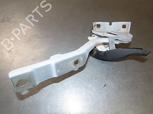 Hinge/Door check strap DACIA SANDERO III 1.0 SCe 65 | BP28082517C146