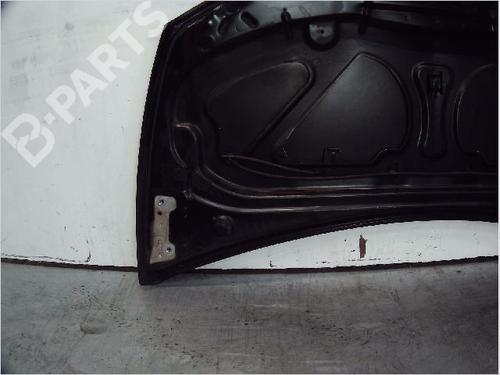 Hood RENAULT CLIO III (BR0/1, CR0/1) 1.4 16V | BP11098421C1 