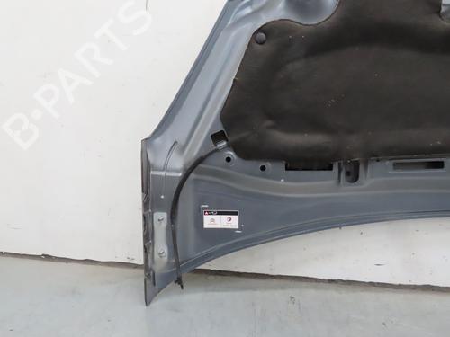 Hood CITROËN DS3 (SA_) 1.4 VTi 95 | BP19039533C1 
