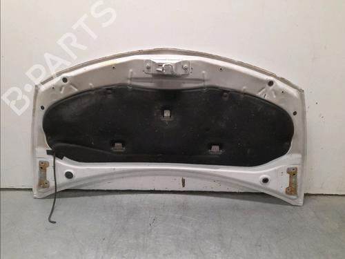Hood RENAULT CLIO III (BR0/1, CR0/1) 1.5 dCi (C/BR0G, C/BR1G) | BP15813169C1 