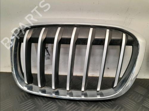Used Grille BMW X1 (F48) xDrive 20 d (190 hp) 27665766