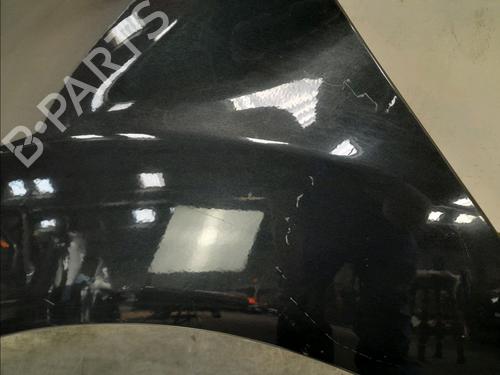 Left front fenders FORD FIESTA VI (CB1, CCN) 1.5 TDCi | BP13242895C41 