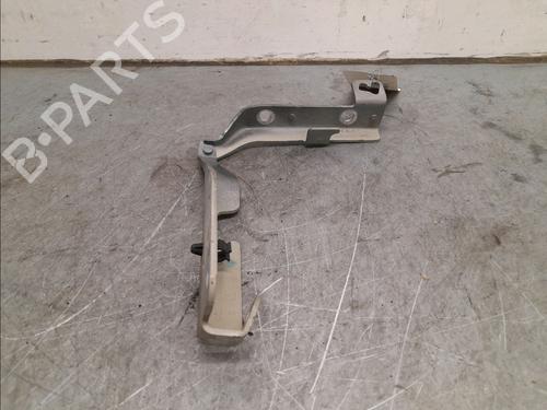 Hinge/Door check strap CITROËN C3 I (FC_, FN_) 1.4 HDi | BP16146183C146 