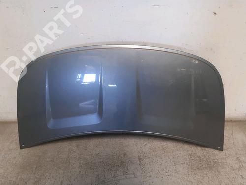 Used Hood Hood SMART FORFOUR (454) 1.5 CDI (454.001) (95 hp) 10151237 10151237