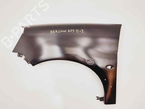 Left front fenders CITROËN BERLINGO / BERLINGO FIRST Box Body/MPV (M_)  | BP1165213C41 