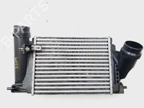 Used Intercooler Intercooler RENAULT TALISMAN (LP_) [2015-2022] 18244506 18244506