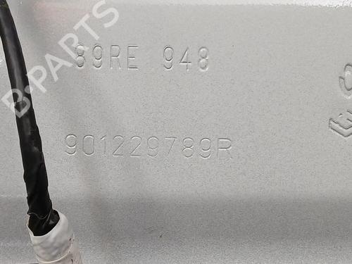 Tailgate RENAULT ARKANA I (LCM_, LDN_)  | BP30109145C6 