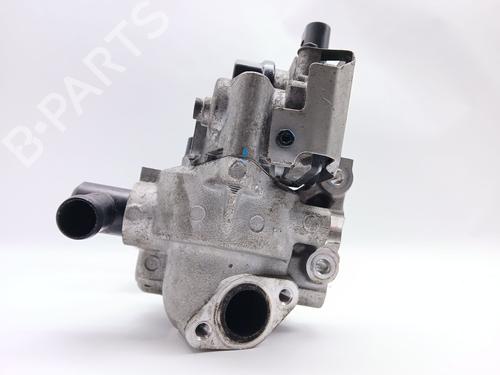 EGR-Ventil KIA CARENS IV  | BP31665555M69 