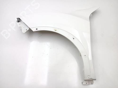 Used Left front fenders NISSAN JUKE (F15) 1.2 DIG-T (115 hp) 21554927