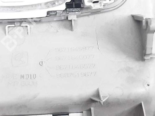 Interior roof light CITROËN C4 II (NC_)  | BP9261409I8 
