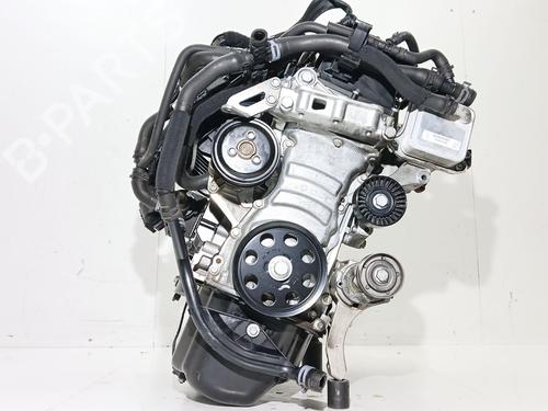 Engine VW POLO V (6R1, 6C1) | BP32249568M1