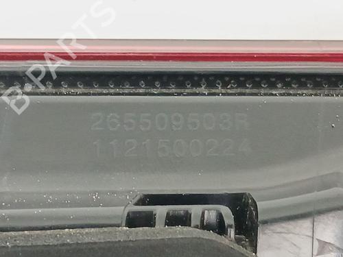 Højre baklys, luke RENAULT ARKANA I (LCM_, LDN_)  | BP30007095C80 