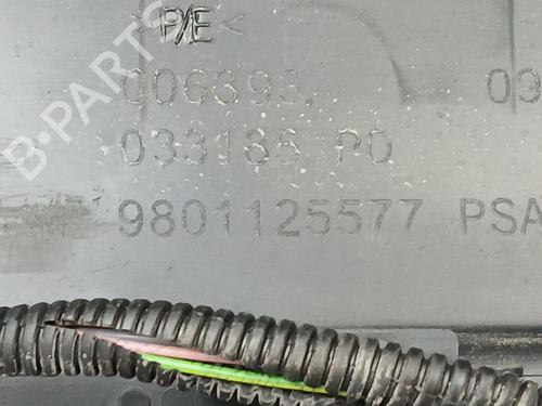 Rear bumper PEUGEOT 2008 I (CU_) 1.6 BlueHDi 100 | BP22758620C8