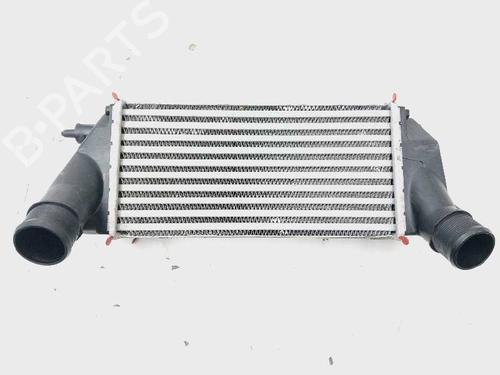 Used Intercooler Intercooler FORD TOURNEO COURIER B460 MPV 1.0 EcoBoost (100 hp) 19139962 19139962