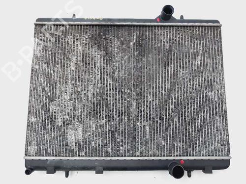 Used Water radiator Water radiator PEUGEOT PARTNER MPV (5_, G_) [1996-2026] 20685631 20685631