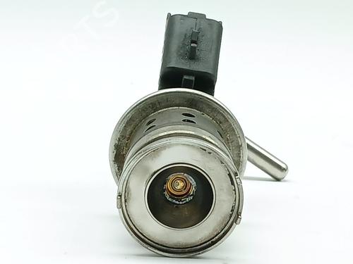 Injector DS DS 3 (SA_) 1.6 BlueHDi 75 (SABHW6) | BP31853132M100