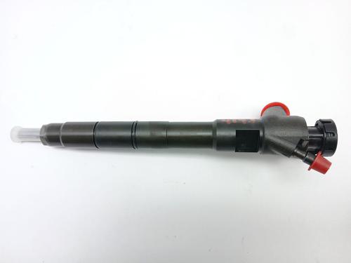 Injector SEAT IBIZA IV (6J5, 6P1) 1.4 TDI | BP31065366M100