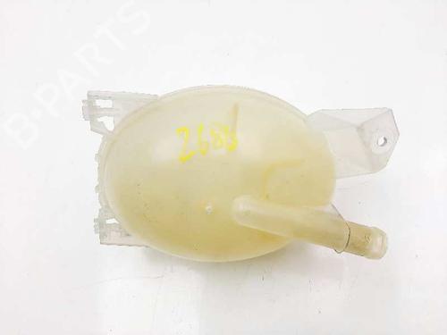 Expansion tank DACIA SANDERO II TCe 90 (B8M1, B8MA, B8AC) | BP20678739C120 