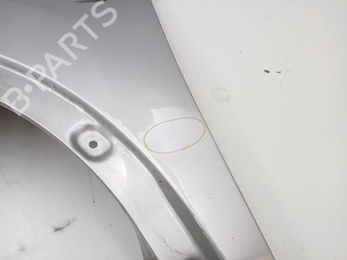 Left front fenders NISSAN QASHQAI I (J10, NJ10) 2.0 All-wheel Drive | BP25604543C41 