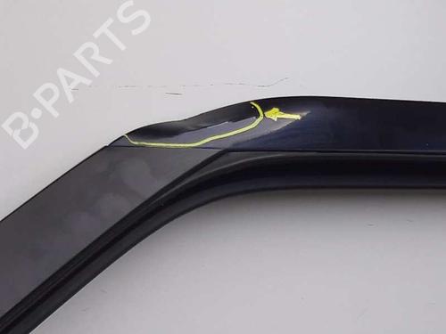 Left front door LAND ROVER RANGE ROVER SPORT I (L320) 2.7 D 4x4 | BP12533645C2 