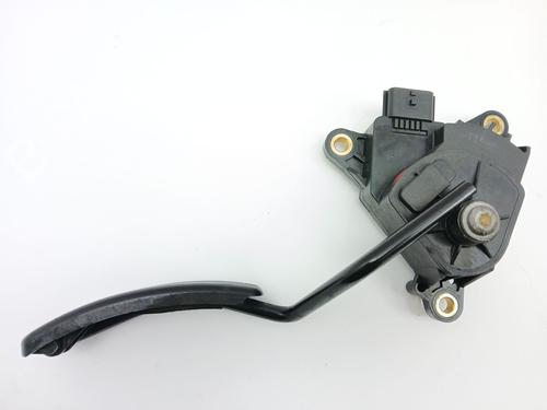 Pedal RENAULT SCÉNIC II (JM0/1_) 1.5 dCi (JM1E, JM16) | BP29886230I4