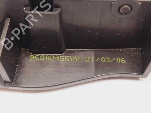 Front right exterior door handle PEUGEOT 207 (WA_, WC_)  | BP20683619C129 