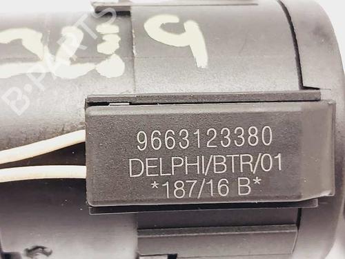 Ignition barrel PEUGEOT 308 SW II (LC_, LJ_, LR_, LX_, L4_)  | BP20684290M48 