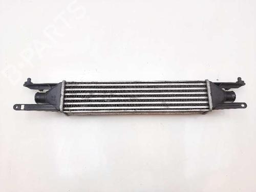 Used Intercooler Intercooler FIAT PUNTO EVO (199_) 1.3 D Multijet (199AXC1A, 199BXC1A, 199AXT1A, 199BXT1A) (75 hp) 20679153 20679153