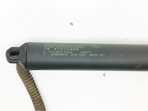 Tailgate lift support MINI MINI COUNTRYMAN (F60) Cooper D | BP25263322C138 