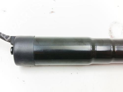Tailgate lift support CITROËN C4 Picasso II 1.6 BlueHDi 120 | BP28377724C138 