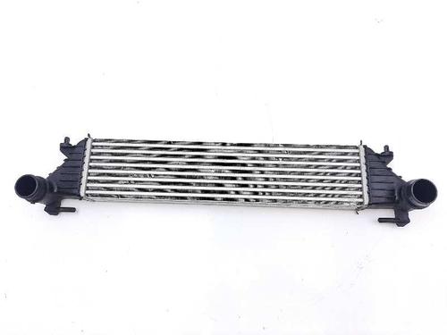 Intercooler FIAT TIPO Saloon (356_, 357_) 1.3 D (356SXB1A, 356SXH1A, 356SXD1A) (95 hp) 10336720