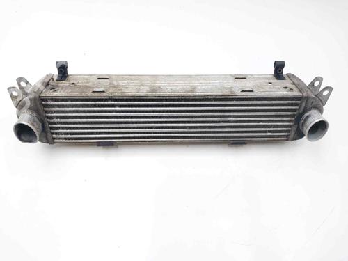 Intercooler LAND ROVER DISCOVERY III (L319) 2.7 TD 4x4 | BP13245061M30 