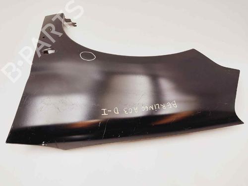 Left front fenders CITROËN BERLINGO / BERLINGO FIRST Box Body/MPV (M_)  | BP1165213C41 