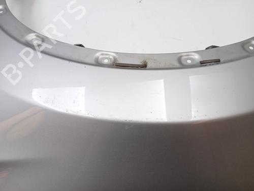 Left front fenders NISSAN QASHQAI I (J10, NJ10) 2.0 All-wheel Drive | BP25604543C41 