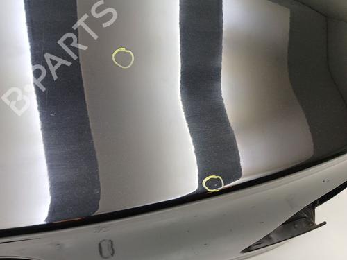 Tailgate VW PASSAT CC B6 (357) 2.0 TDI | BP29403042C6 