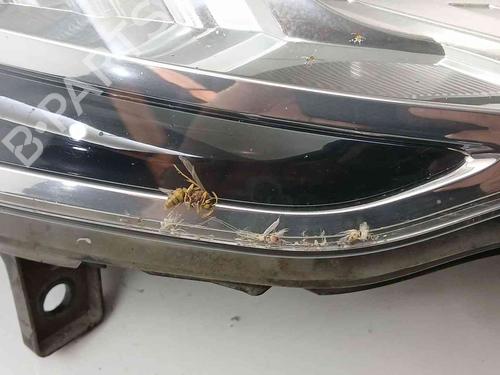 Right headlight PEUGEOT PARTNER Tepee 1.6 BlueHDi 100 | BP39503678C29 - Image 5