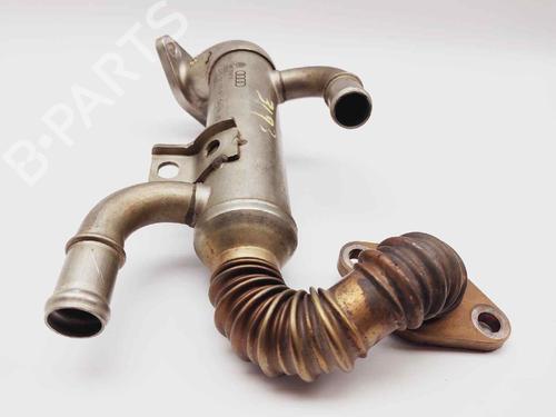 Egr SEAT IBIZA III (6L1)  | BP20683772M69 