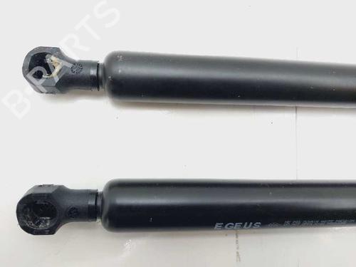 Tailgate lift support RENAULT TRAFIC III Bus (JG_)  | BP17703755C138 