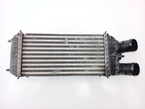 Intercooler DS DS 3 (SA_) 1.6 BlueHDi 75 (SABHW6) (75 hp) 31880445