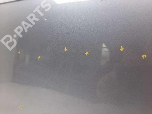 Left front door AUDI A4 B7 (8EC) 2.0 TFSI quattro | BP9649690C2 