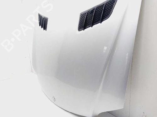 Hood RENAULT KANGOO Express (FC0/1_)  | BP20501324C1 