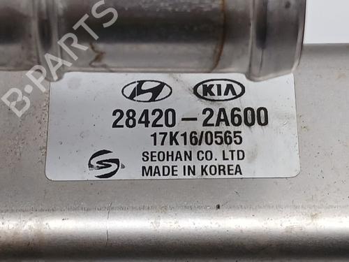 EGR-Ventil KIA CARENS IV  | BP31665555M69 