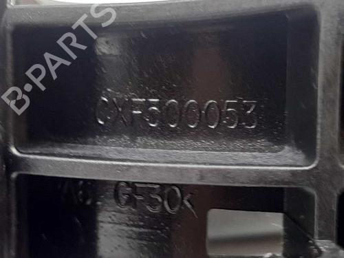 Front left exterior door handle LAND ROVER RANGE ROVER SPORT I (L320) 2.7 D 4x4 | BP12296899C128 