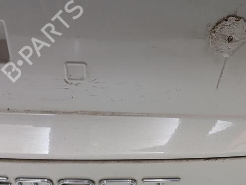 Tailgate FIAT FREEMONT (345_) 2.0 JTD | BP29639503C6 