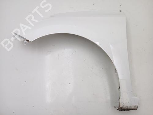 Used Left front fenders HYUNDAI i20 II (GB, IB) 1.0 T-GDI (101 hp) 24850211