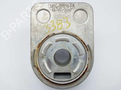 Oil radiator FORD FOCUS III Turnier  | BP20686272M33 