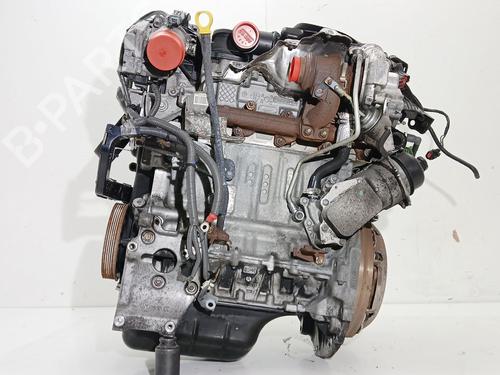 Engine FORD FIESTA VI (CB1, CCN)  | BP33329043M1  - Image 6