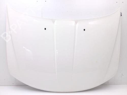 Used Hood FIAT FREEMONT (345_) 2.0 JTD (170 hp) 29639501