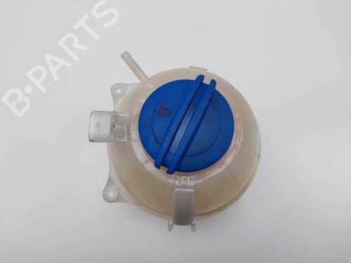 Used Expansion tank SEAT IBIZA IV SC (6J1, 6P5) 1.6 TDI (90 hp) 20685039